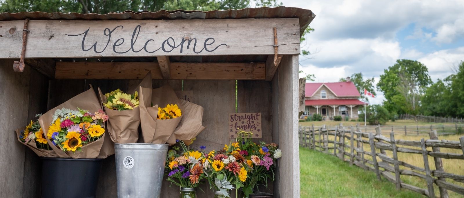 bouquets of flowers at a farm stand; farmhouse in background