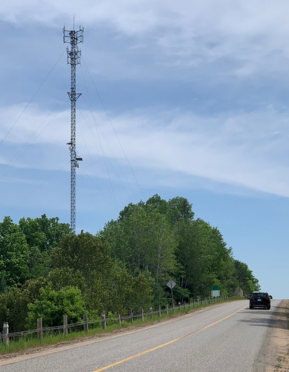 Cellular tower among trees along roadside