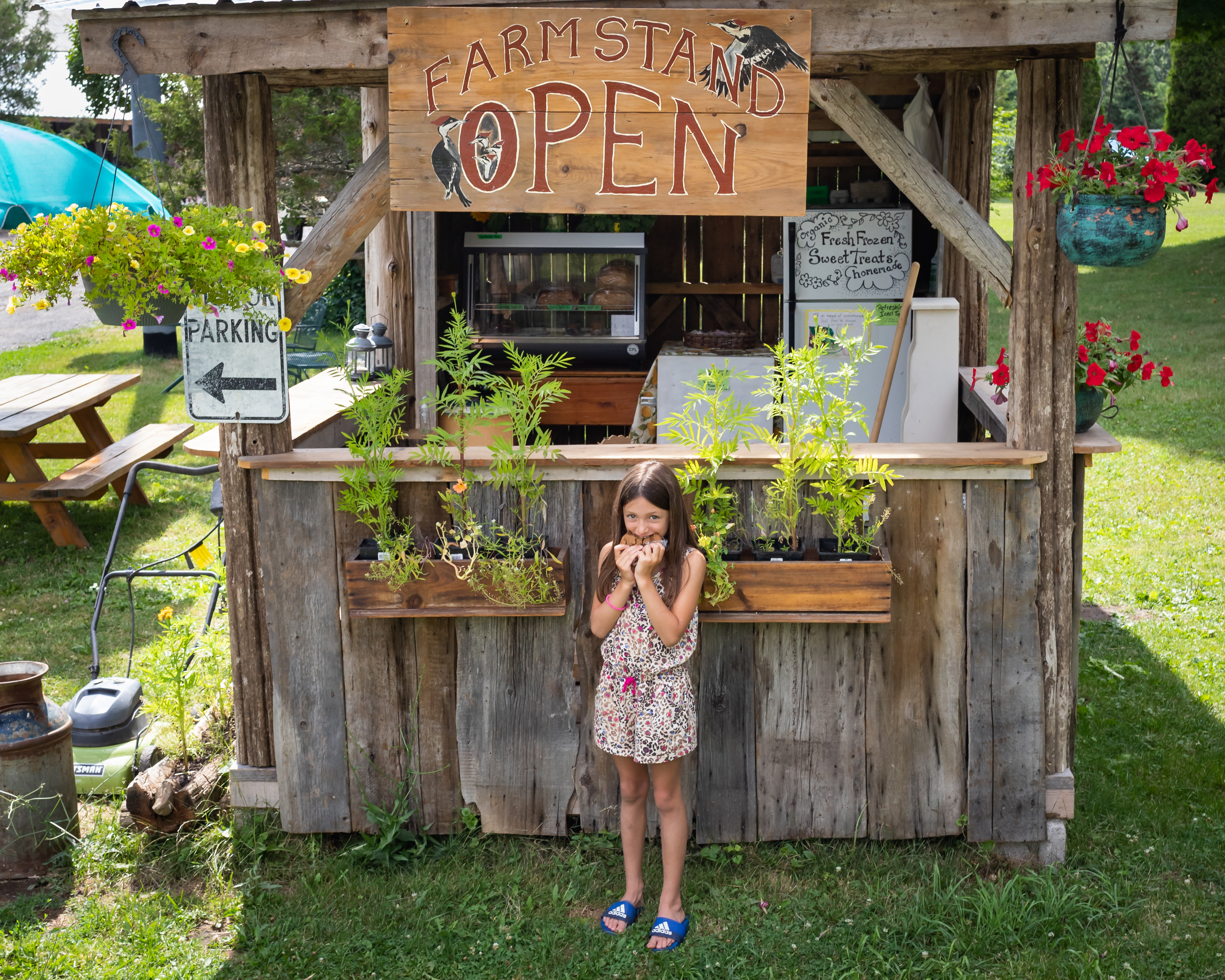 Farm Stand with Open Sign