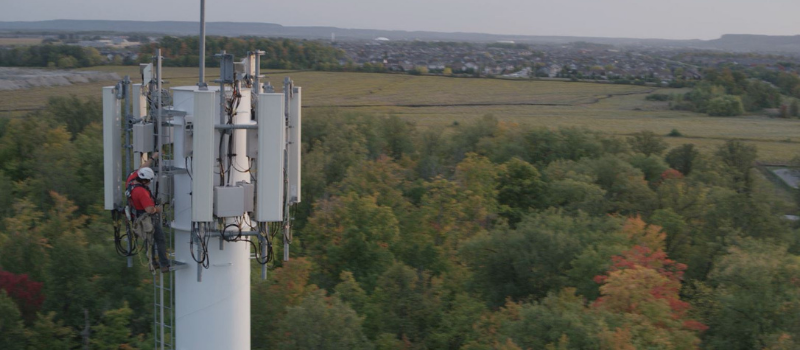 Man climbing telecommunications tower, treed background
